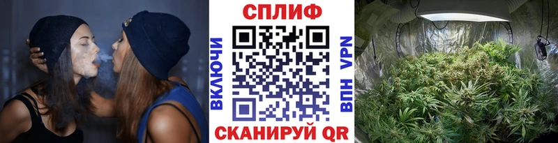 Метамфетамин Дальнереченск