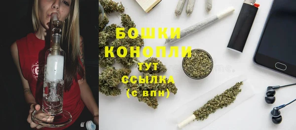 дживик Вязьма