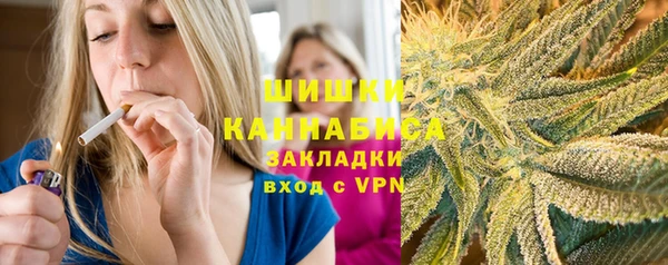 дживик Вязьма