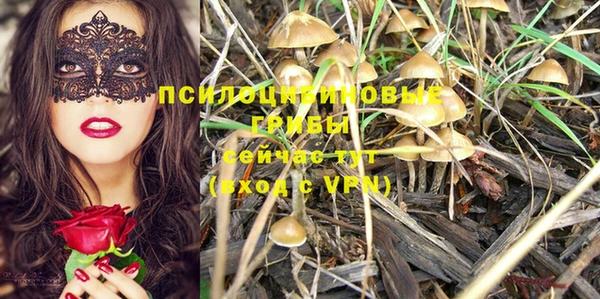 круглые Горняк