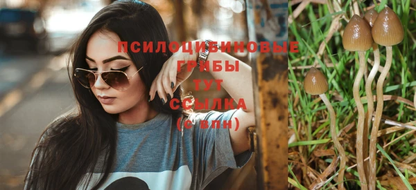дживик Вязьма
