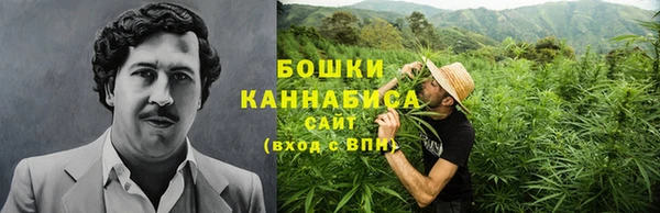 не бодяженный Туринск